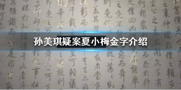 孙美琪疑案夏小梅金字线索在哪