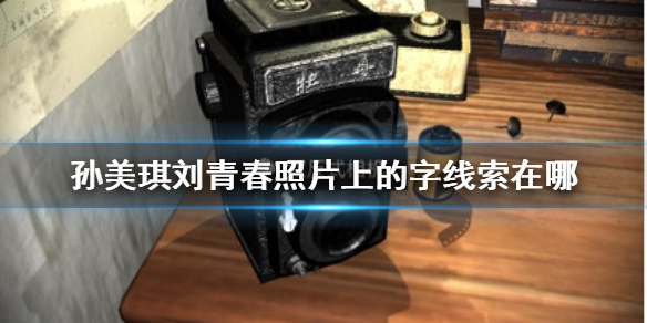 孙美琪疑案刘青春照片上的字线索在哪