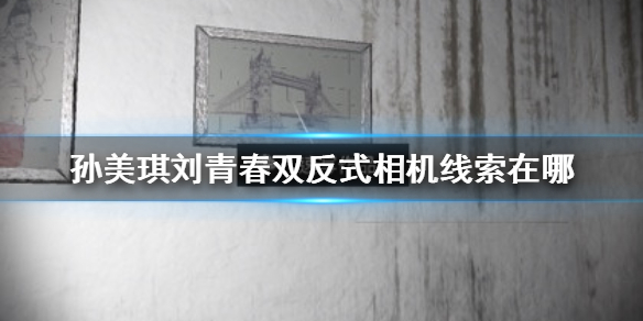 孙美琪疑案刘青春双反式相机线索在哪