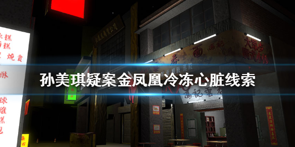 孙美琪疑案金凤凰冷冻心脏线索在哪里