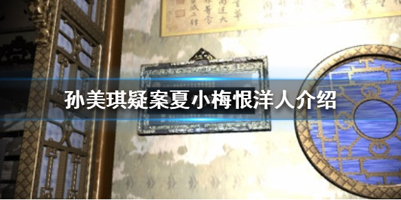 孙美琪疑案夏小梅恨洋人线索在哪