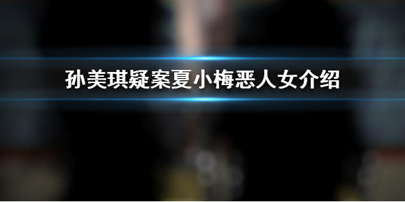 孙美琪疑案夏小梅恶人女线索在哪