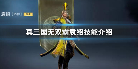 真三国无双霸袁绍技能是什么