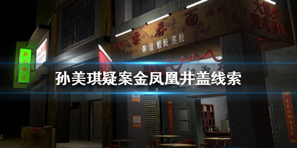 孙美琪疑案金凤凰井盖线索在哪里
