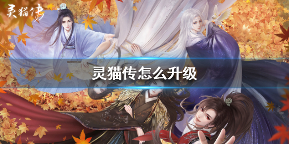 灵猫传灵猫怎么升级