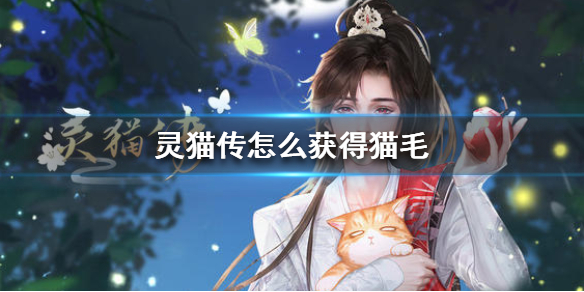 灵猫传怎么获得猫毛