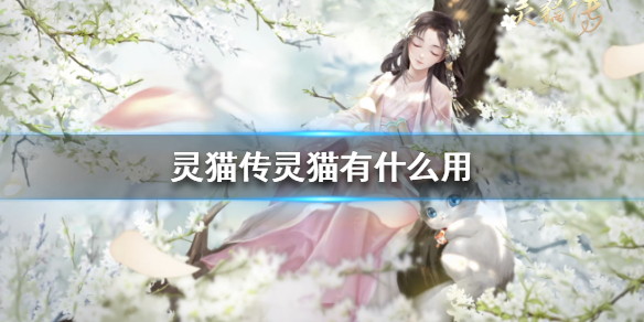 灵猫传灵猫有什么用