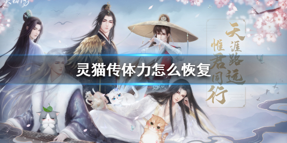 灵猫传体力怎么恢复