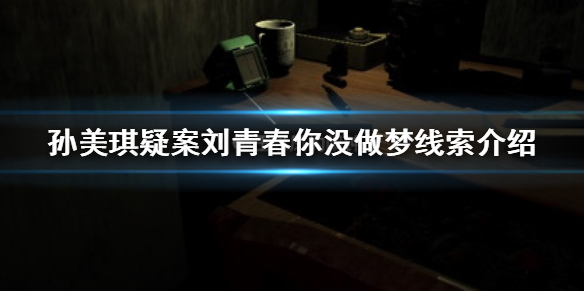 孙美琪疑案刘青春你没做梦线索在哪