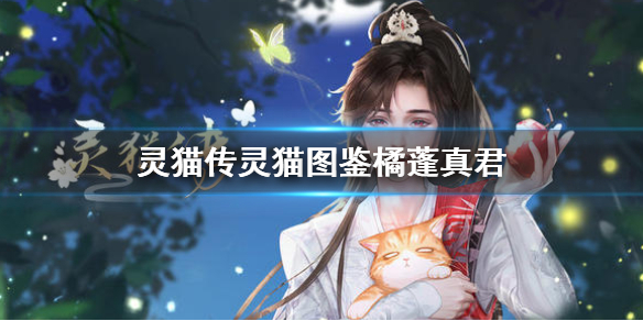 灵猫传灵猫图鉴橘蓬真君怎么样