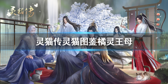 灵猫传灵猫图鉴橘灵王母怎么样