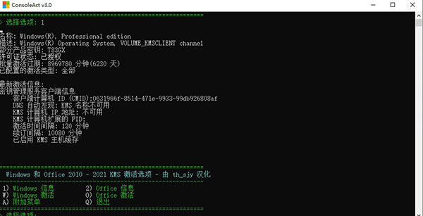 ConsoleAct(KMS激活工具)1