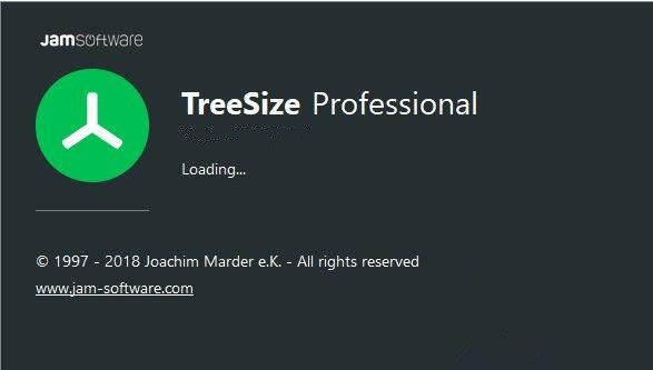 TreeSize Professional0