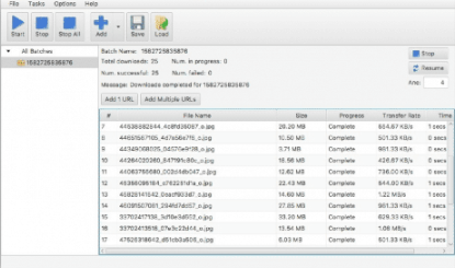 WFDownloader(多媒体批量器)1