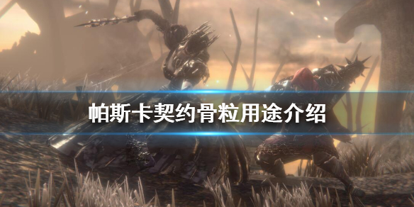 帕斯卡契约骨粒有什么用