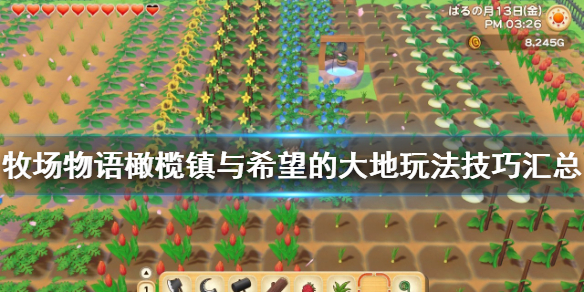 牧场物语橄榄镇与希望的大地新手要注意什么