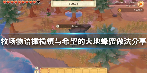 牧场物语橄榄镇与希望的大地蜂蜜怎么做