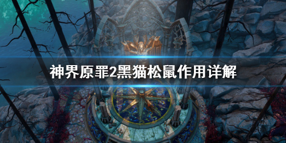 神界原罪2黑猫松鼠有什么用