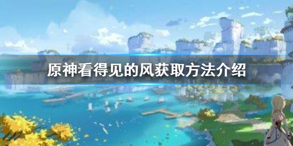 原神看得见的风是什么