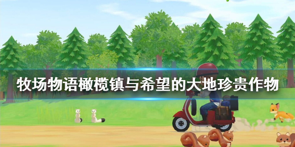 牧场物语橄榄镇与希望的大地加工品质怎么提升