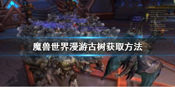 魔兽世界漫游古树怎么获得