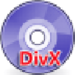枫叶DivX格式转换器