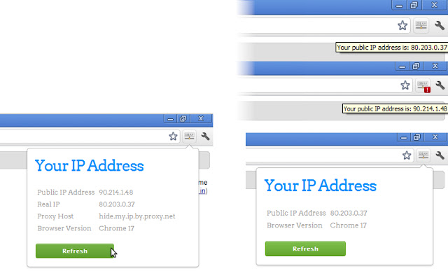 View IP address0