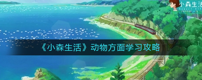 小森生活动物方面怎么学习