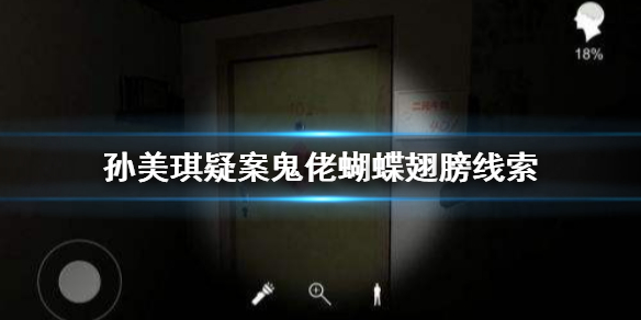 孙美琪疑案鬼佬蝴蝶翅膀线索在哪里