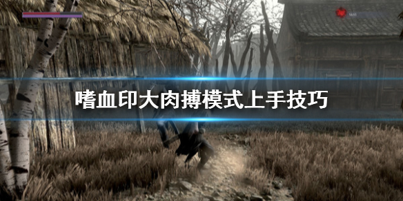 嗜血印大肉搏模式怎么打