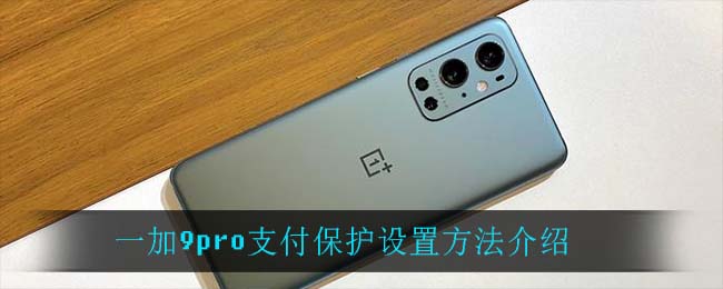 一加9pro支付保护怎么设置