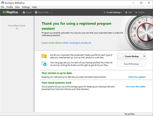 Auslogics BitReplica2