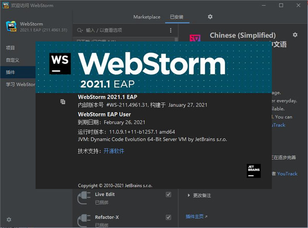 JetBrains WebStorm20210