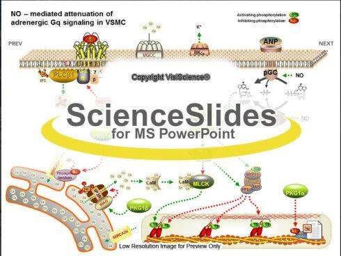 ScienceSlides V2016