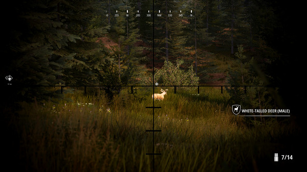 狩猎模拟2正式版5