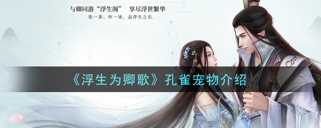 浮生为卿歌孔雀宠物怎么样