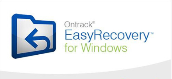 EasyRecovery Professional 141