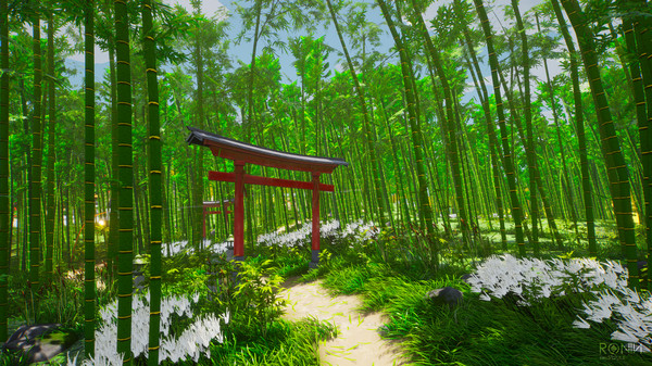 浪人：两魂一体1