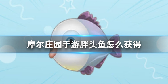 摩尔庄园手游胖头鱼怎么获得