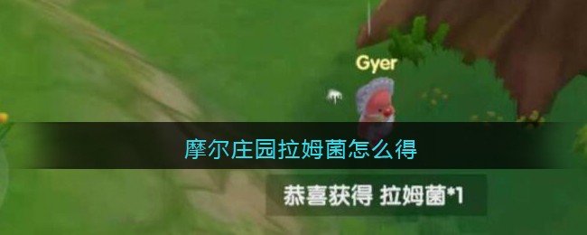 摩尔庄园拉姆菌怎么得