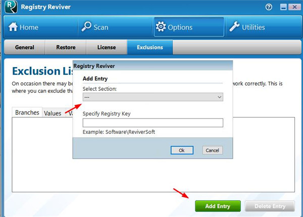 Registry Reviver便携版3