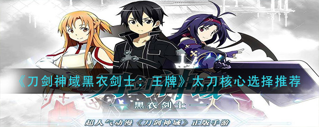 刀剑神域黑衣剑士王牌太刀核心怎么选择