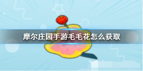 摩尔庄园手游毛毛花怎么获取