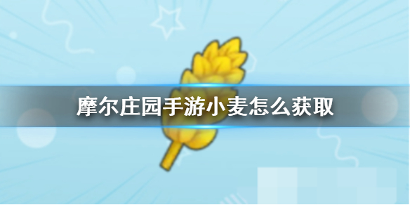 摩尔庄园手游小麦怎么获取