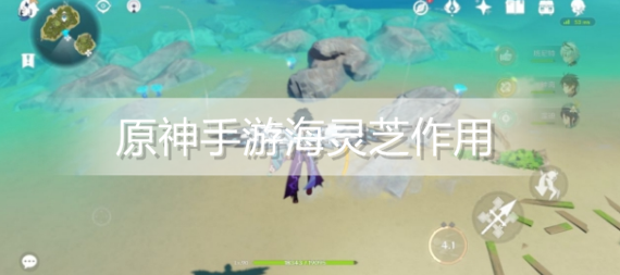 原神手游海灵芝有什么用