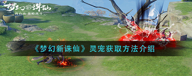梦幻新诛仙灵宠怎么获取