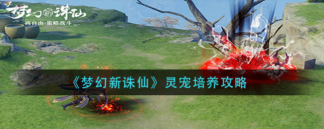 梦幻新诛仙灵宠怎么培养
