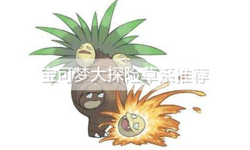 宝可梦大探险草系练什么