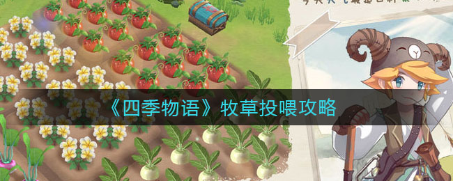 四季物语牧草怎么投喂