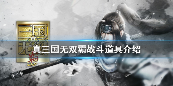 真三国无双霸战斗道具有哪些